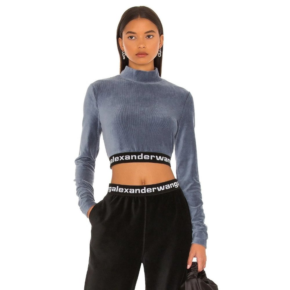 Alexander Wang Long Sleeve Crop Top